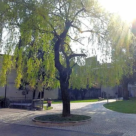 Отель La Contrada 3*